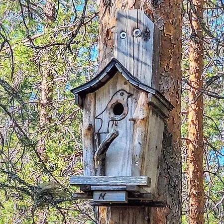 Vaulutupa By Interhome * Rokua