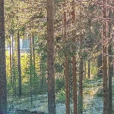 Casa de Férias Vaulutupa By Interhome Rokua