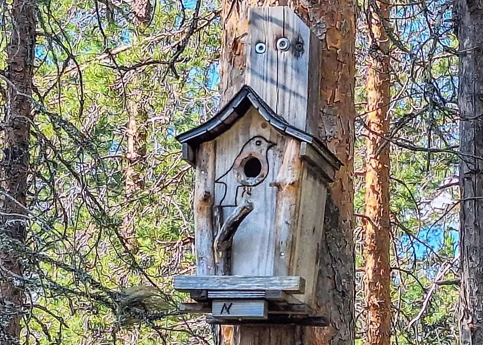 Vaulutupa By Interhome * Rokua