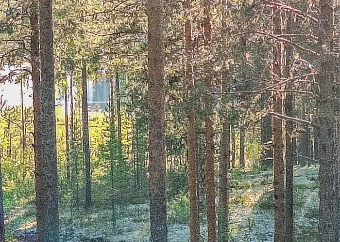 Σπίτι διακοπών Vaulutupa By Interhome Rokua